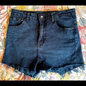 One Teaspoon Brand High Waisted Denim 